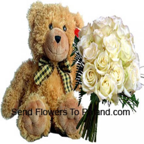 19 White Roses with 14 Inch Teddy