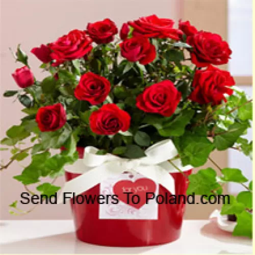 Красивый букет из 19 красных роз с сезонными наполнителями