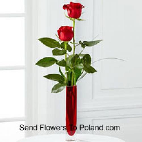 2 Douces Roses Rouges dans un Vase